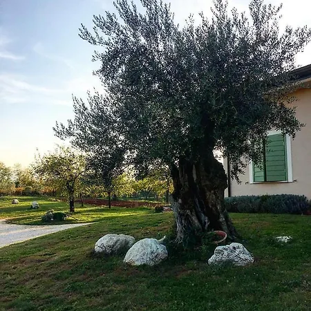 Lantgård Di Charme Erbadoro